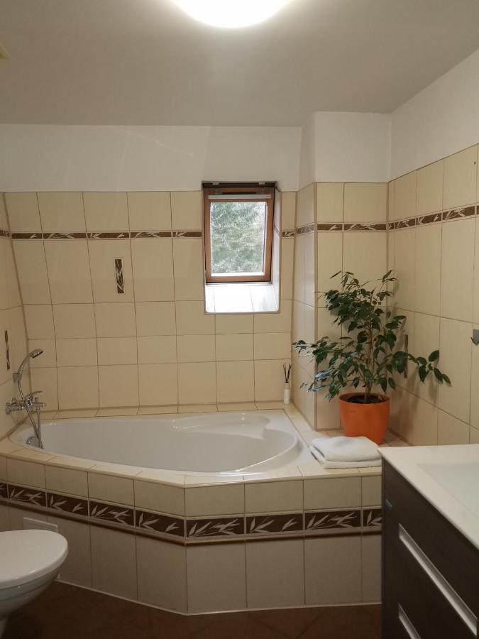 Apartmany Paseky - 捷克贾布朗尼城 外观 照片