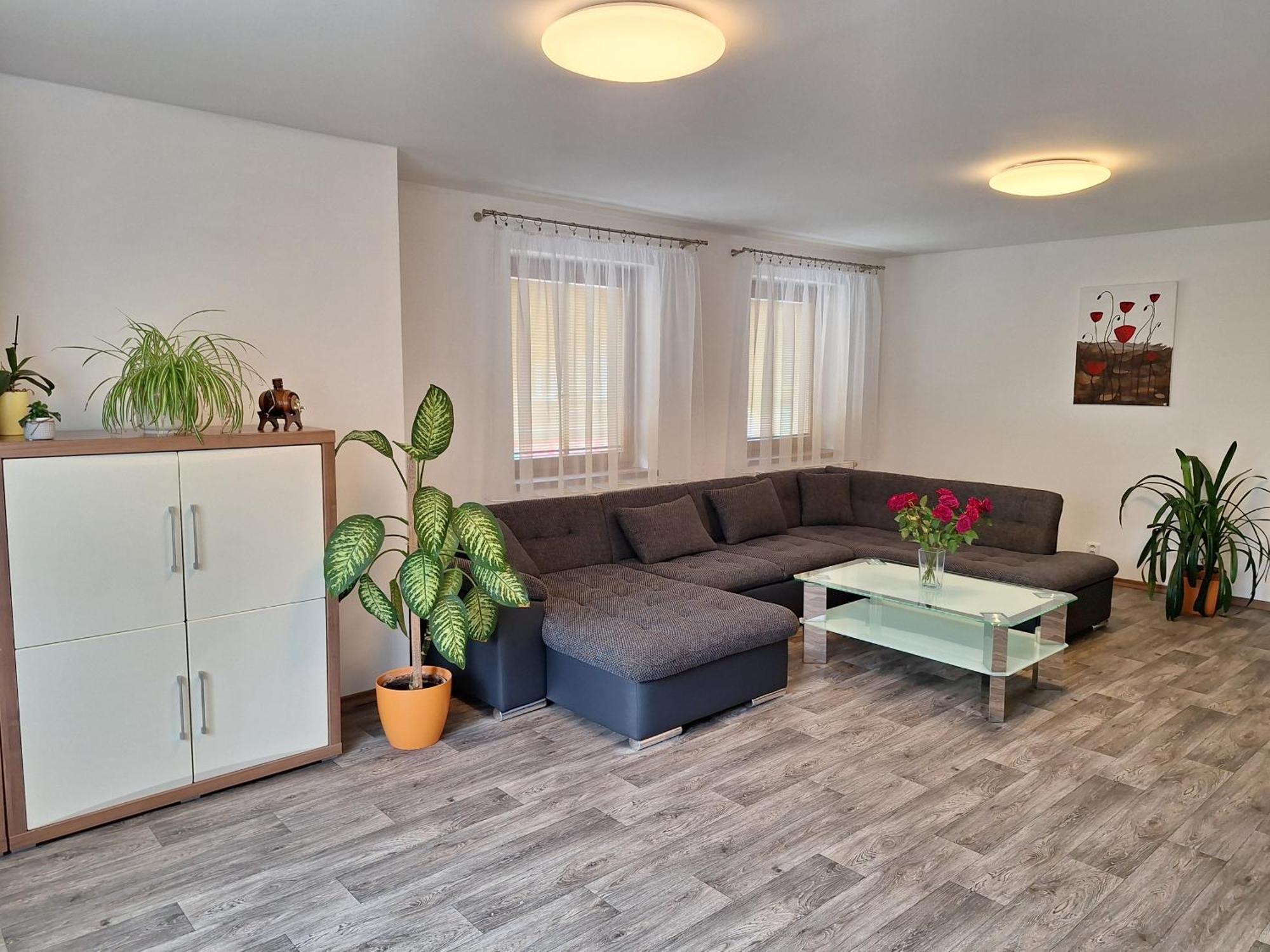Apartmany Paseky - 捷克贾布朗尼城 外观 照片
